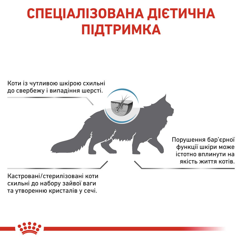 Royal Canin Skin & Coat дієта для котів при дерматозах та випадінні шерсті - 3.5 кг