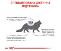 Royal Canin Skin & Coat дієта для котів при дерматозах та випадінні шерсті - 3.5 кг
