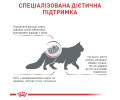 Royal Canin Renal дієта для котів із хронічною нирковою недостатністю - 400 г