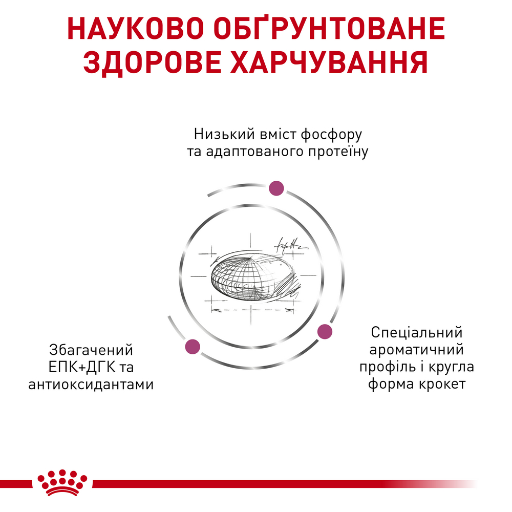Royal Canin Renal дієта для котів із хронічною нирковою недостатністю - 2 кг