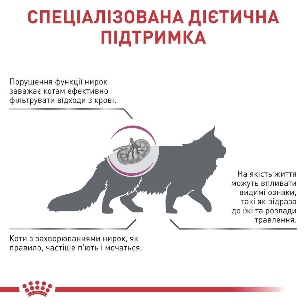 Royal Canin Renal дієта для котів із хронічною нирковою недостатністю - 2 кг