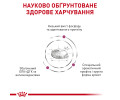 Royal Canin Renal дієта для котів із хронічною нирковою недостатністю - 4 кг