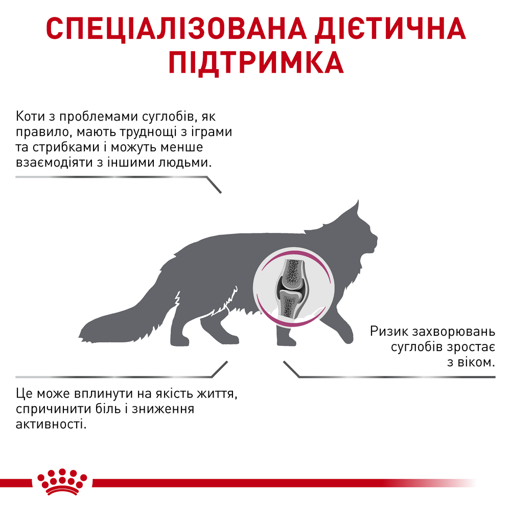 Royal Canin Mobility дієта для котів при захворюваннях опорно-рухового апарату - 2 кг