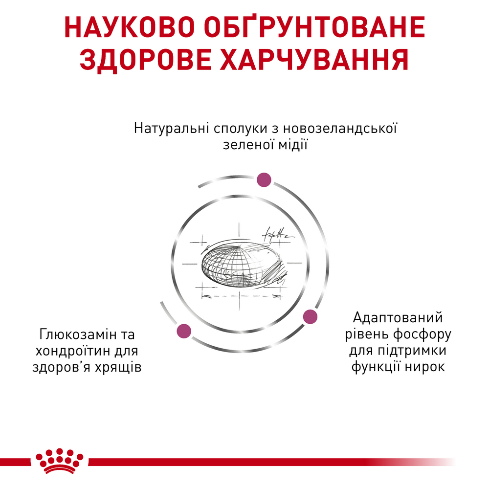 Royal Canin Mobility дієта для котів при захворюваннях опорно-рухового апарату - 2 кг