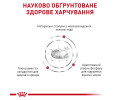 Royal Canin Mobility дієта для котів при захворюваннях опорно-рухового апарату - 2 кг