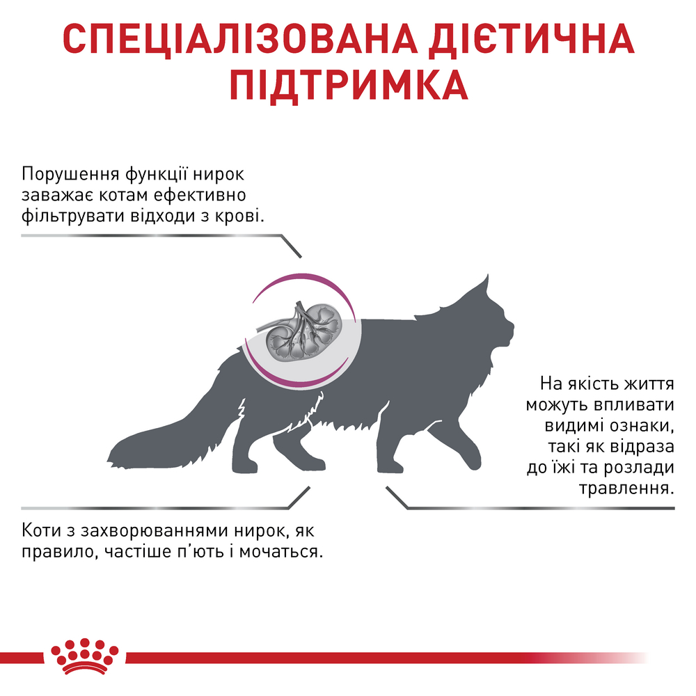 Royal Canin Renal Special дієта для котів з хронічною нирковою недостатністю - 400 г
