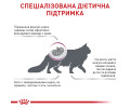 Royal Canin Renal Special дієта для котів з хронічною нирковою недостатністю - 400 г