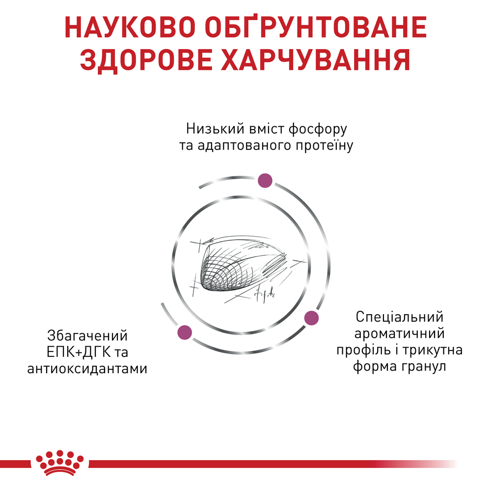 Royal Canin Renal Special дієта для котів з хронічною нирковою недостатністю - 400 г