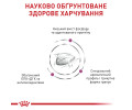 Royal Canin Renal Special дієта для котів з хронічною нирковою недостатністю - 400 г