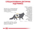 Royal Canin Urinary S/O Feline дієта при захворюваннях сечовивідних шляхів у котів - 400 г