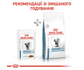 Royal Canin Skin & Coat дієта для котів при дерматозах та випадінні шерсті - 85 г