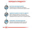Royal Canin Skin & Coat дієта для котів при дерматозах та випадінні шерсті - 85 г