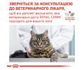 Royal Canin Skin & Coat дієта для котів при дерматозах та випадінні шерсті - 85 г