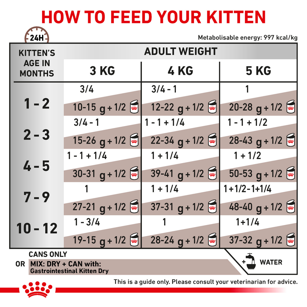 Royal Canin Gastrointestinal Kitten дієта для кошенят при порушеннях травлення - 195 г
