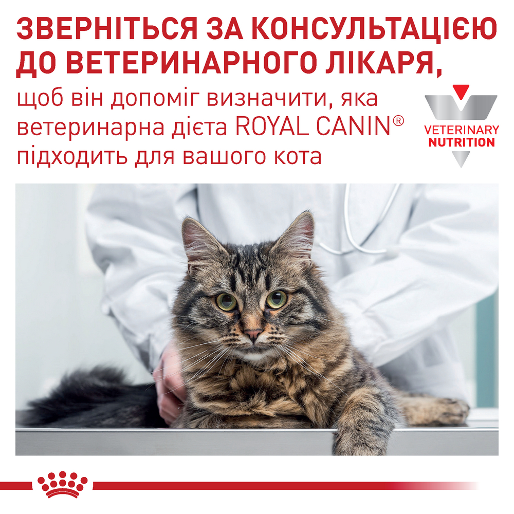 Royal Canin Early Renal дієта при захворюваннях нирок у літніх котів - 85 г