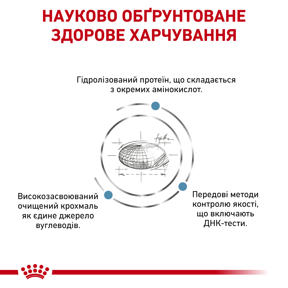 Royal Canin Anallergenic дієта для котів з харчовою непереносимістю - 2 кг