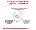 Royal Canin Anallergenic дієта для котів з харчовою непереносимістю - 2 кг