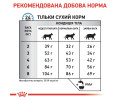 Royal Canin Anallergenic дієта для котів з харчовою непереносимістю - 2 кг