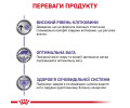 Royal Canin Neutered Satiety Balance дієта для котів при сечокам'яній хворобі - 400 г