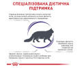 Royal Canin Mature Consult дієта для підтримання здоров'я нирок у літніх котів - 1.5 кг