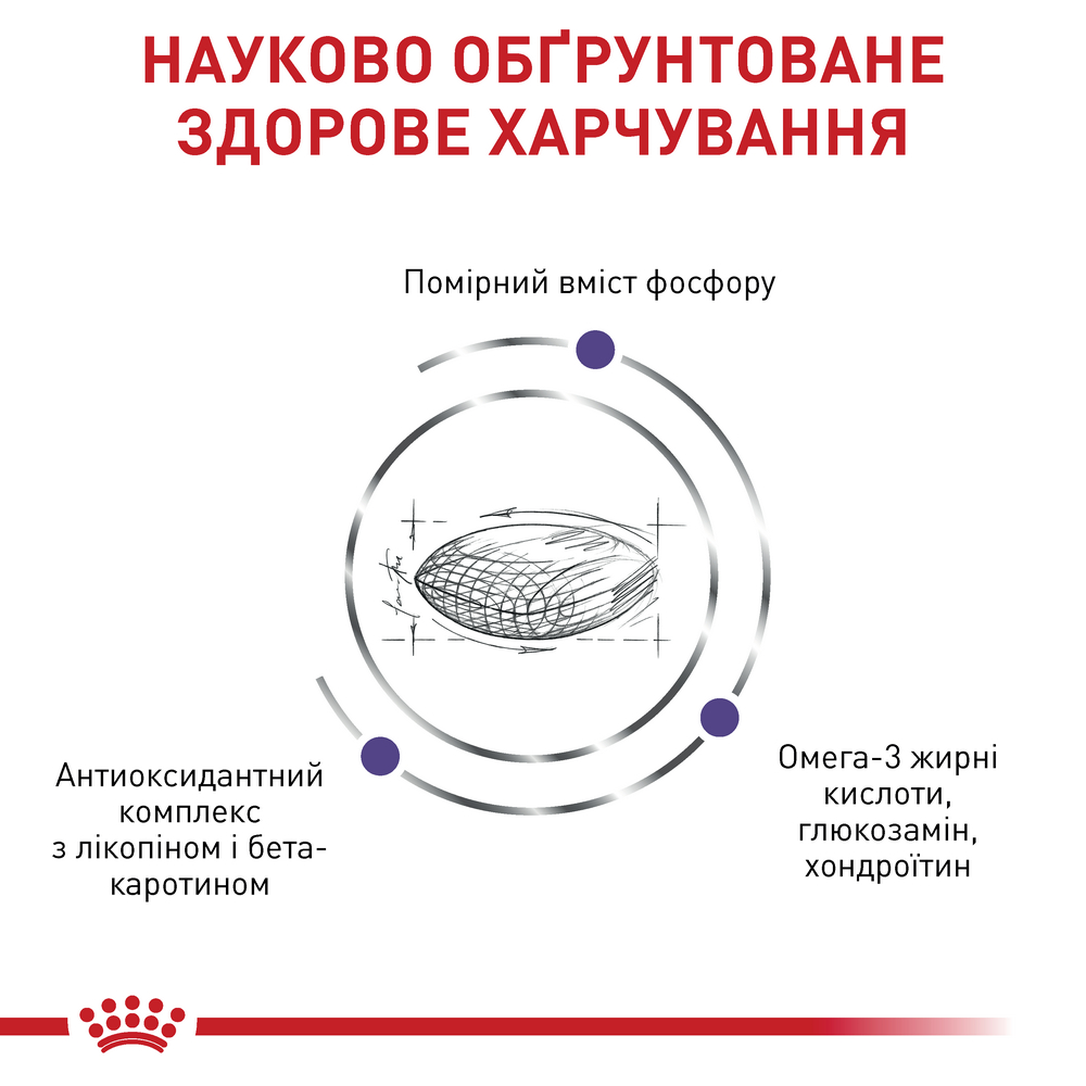 Royal Canin Mature Consult дієта для підтримання здоров'я нирок у літніх котів - 1.5 кг