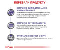 Royal Canin Mature Consult дієта для підтримання здоров'я нирок у літніх котів - 3.5 кг