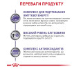 Royal Canin Mature Consult Balance дієта для профілактики сечокам'яної хвороби у котів - 1.5 кг