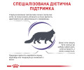 Royal Canin Mature Consult Balance дієта для профілактики сечокам'яної хвороби у котів - 1.5 кг