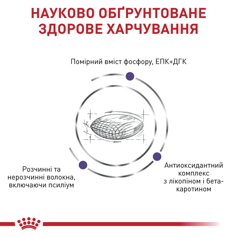 Royal Canin Mature Consult Balance дієта для профілактики сечокам'яної хвороби у котів - 1.5 кг