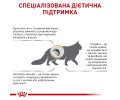 Royal Canin Urinary S/O дієта при захворюваннях сечовивідних шляхів у котів - 400 г