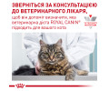 Royal Canin Urinary S/O дієта при захворюваннях сечовивідних шляхів у котів - 400 г