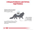 Royal Canin Hypoallergenic дієта для котів при харчовій алергії - 400 г