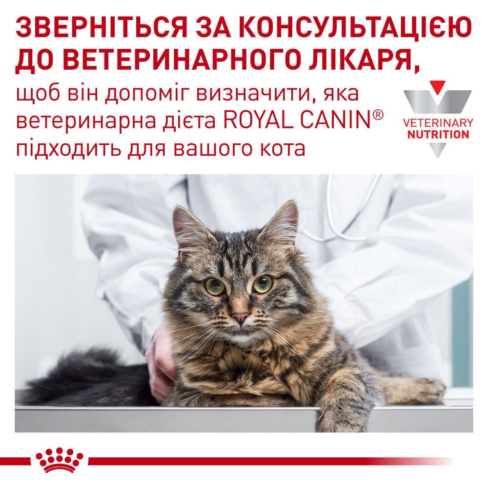 Royal Canin Gastrointestinal дієта для котів при порушеннях травлення - 2 кг