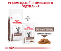 Royal Canin Gastrointestinal дієта для котів при порушеннях травлення - 4 кг