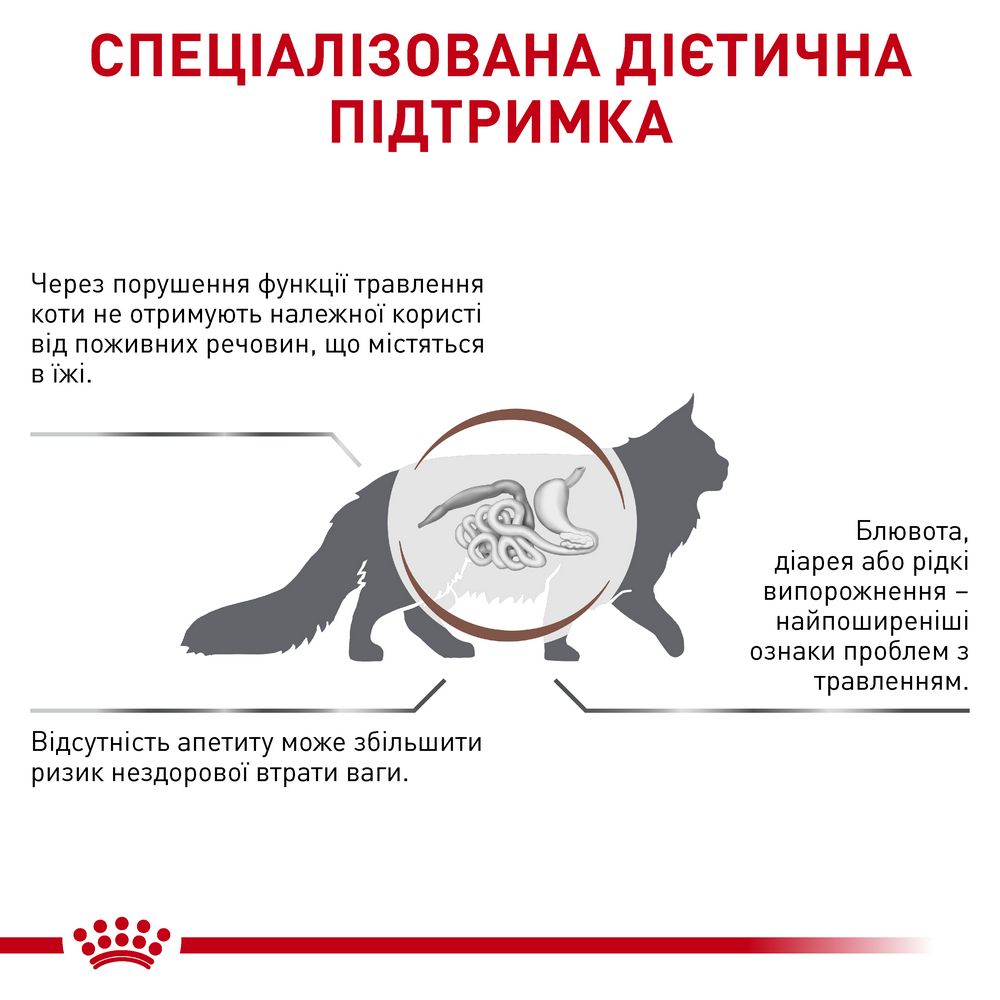 Royal Canin Gastrointestinal дієта для котів при порушеннях травлення - 4 кг