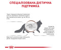 Royal Canin Gastrointestinal дієта для котів при порушеннях травлення - 4 кг