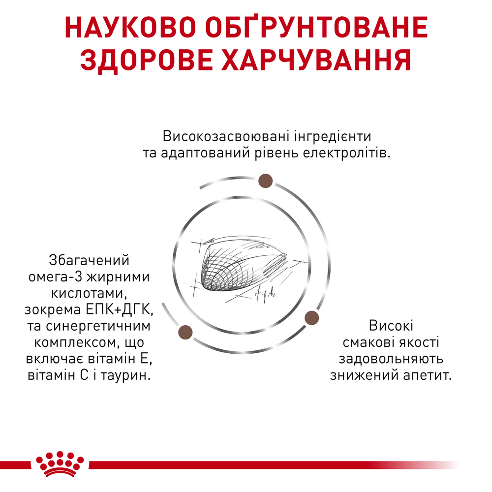 Royal Canin Gastrointestinal дієта для котів при порушеннях травлення - 4 кг