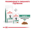 Royal Canin Diabetic дієта для котів при цукровому діабеті - 400 г