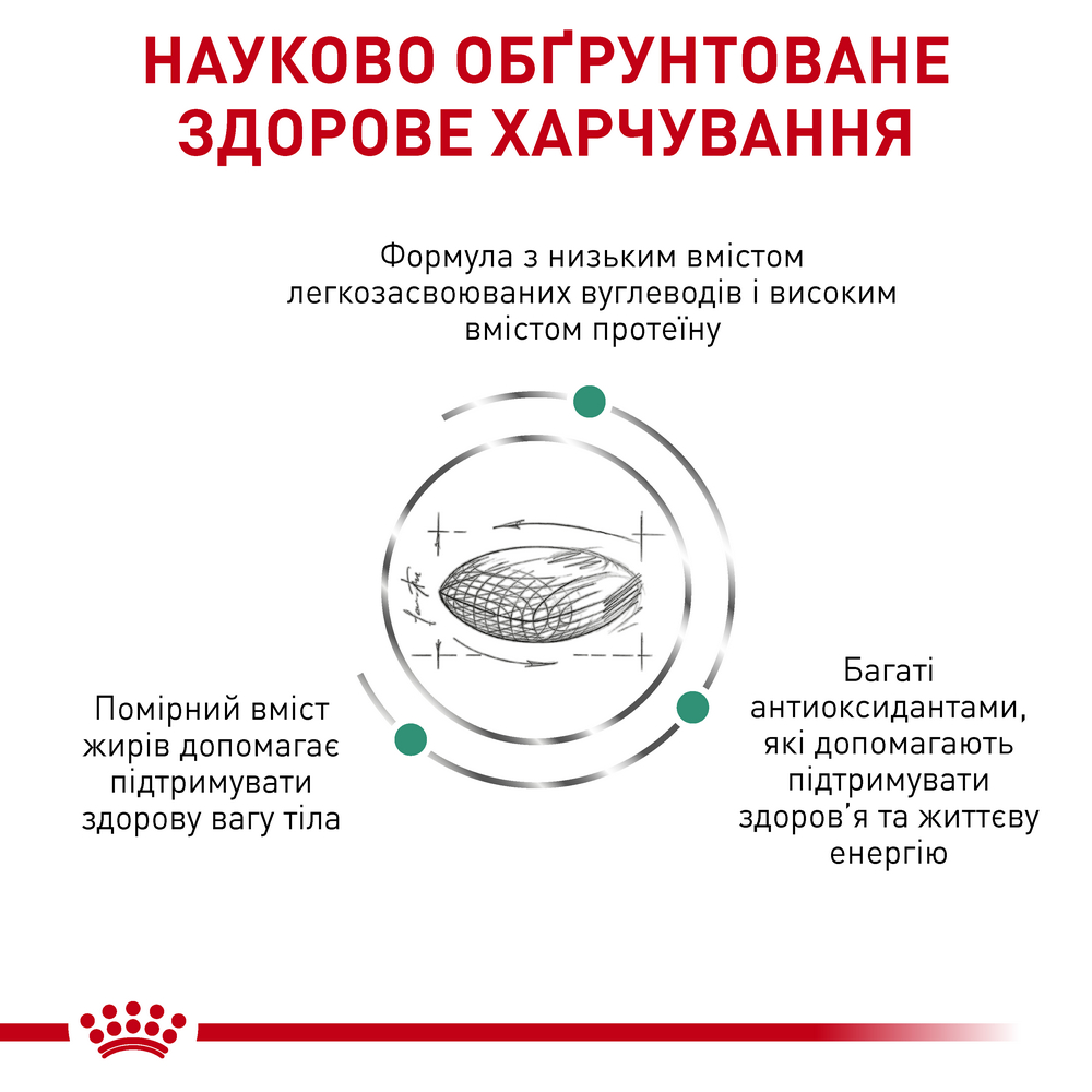 Royal Canin Diabetic дієта для котів при цукровому діабеті - 400 г