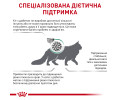 Royal Canin Diabetic дієта для котів при цукровому діабеті - 1.5 кг