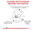 Royal Canin Calm дієта для котів при стресі чи у період адаптації - 2 кг