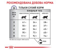 Royal Canin Calm дієта для котів при стресі чи у період адаптації - 2 кг