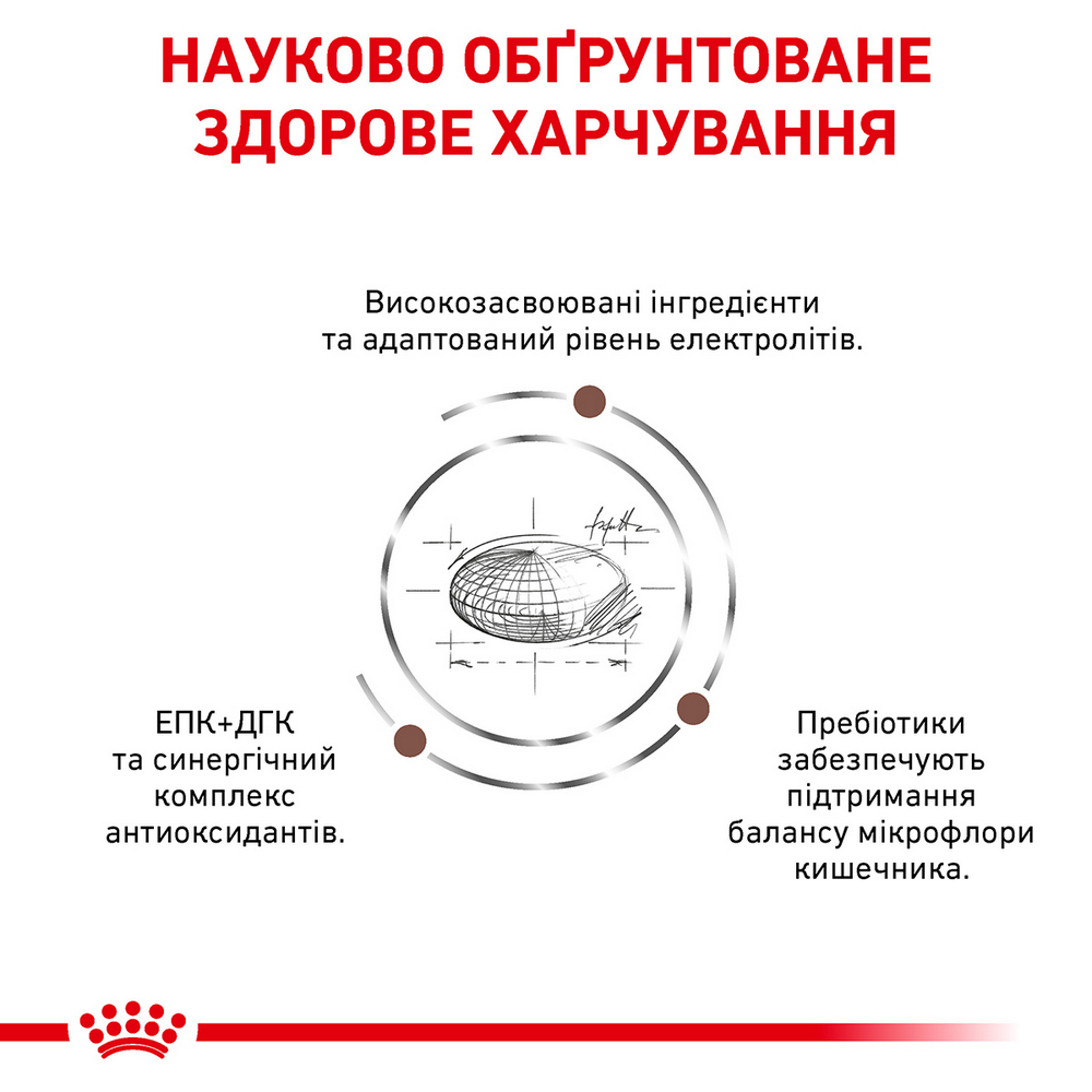 Royal Canin Gastrointestinal Moderate Calorie дієта для котів при порушеннях травлення -4 кг