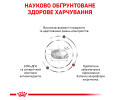 Royal Canin Gastrointestinal Moderate Calorie дієта для котів при порушеннях травлення -4 кг
