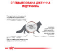Royal Canin Gastrointestinal Moderate Calorie дієта для котів при порушеннях травлення -4 кг