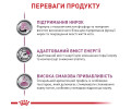 Royal Canin Renal Beef дієта для котів при захворюваннях нирок, з яловичиною - 85 г