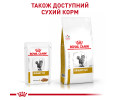 Royal Canin Urinary S/O Feline дієта для котів при хворобах сечовидільної системи - 85 г