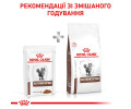 Royal Canin Gastrointestinal дієта для котів при порушеннях травлення - 85 г