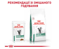 Royal Canin Diabetic дієта для котів при цукровому діабеті - 85 г