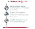Royal Canin Diabetic дієта для котів при цукровому діабеті - 85 г